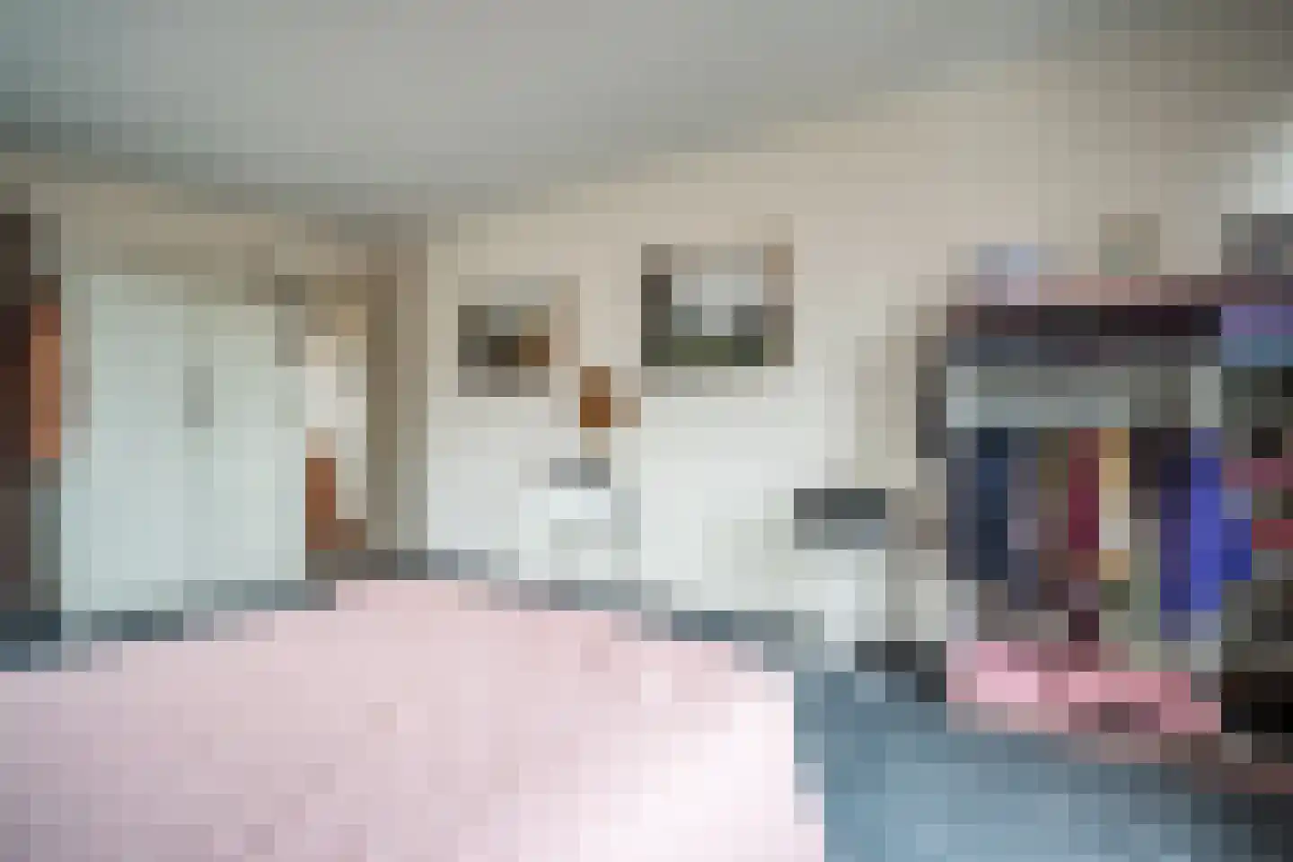 Soestdijksekade 862 Den Haag thumbnail 43