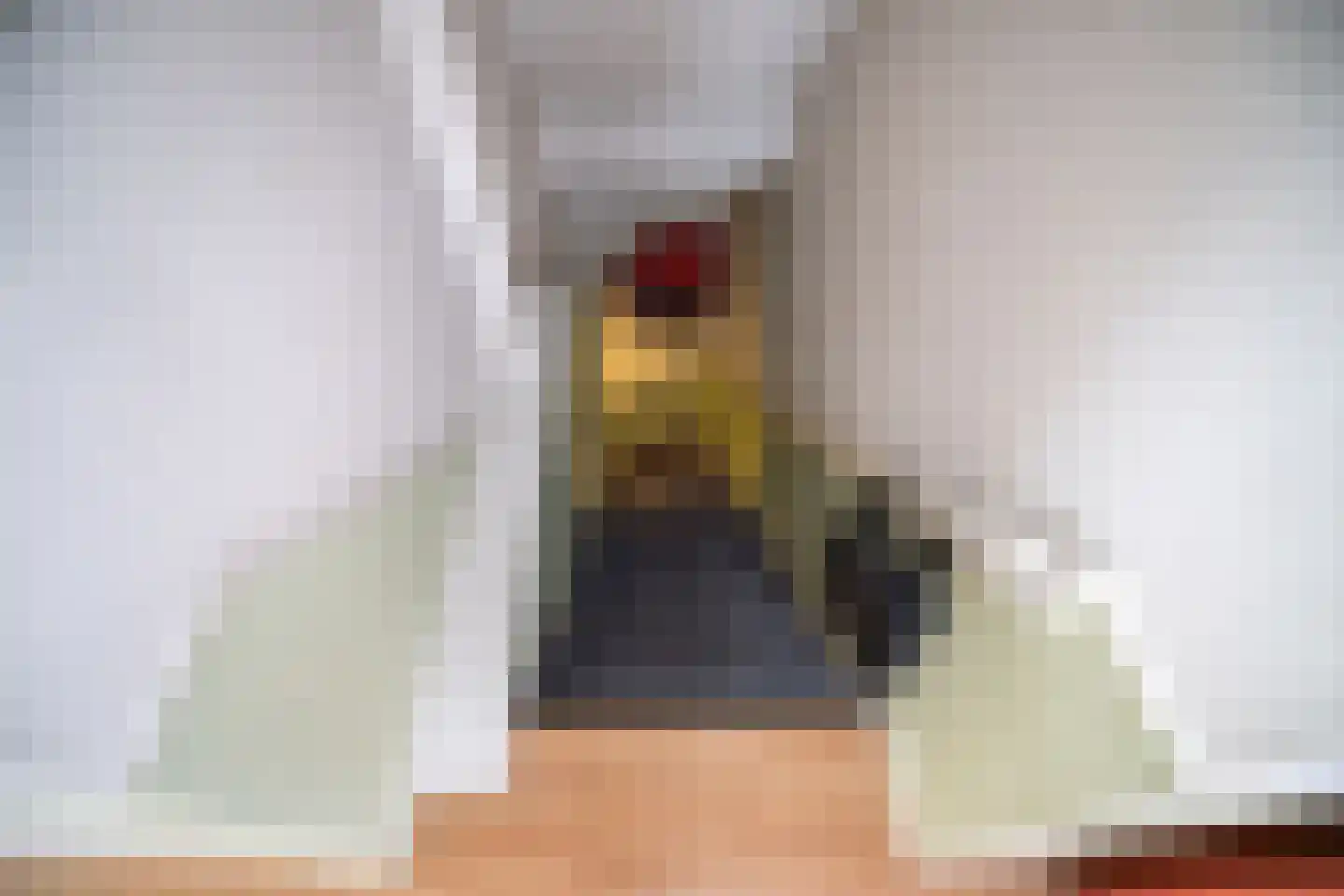 Soestdijksekade 862 Den Haag thumbnail 50