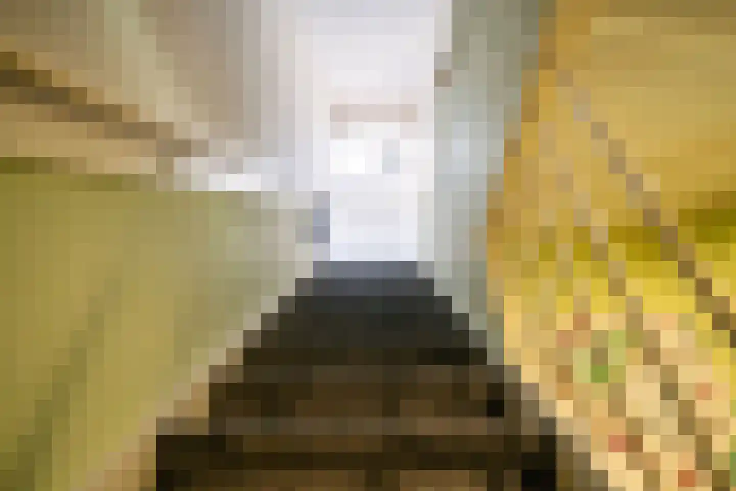 Soestdijksekade 862 Den Haag thumbnail 51