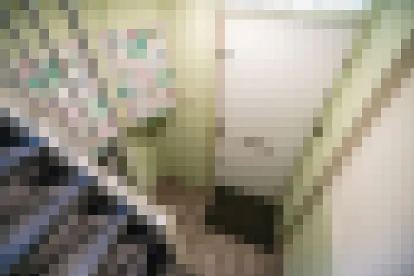 Soestdijksekade 862 Den Haag thumbnail 52