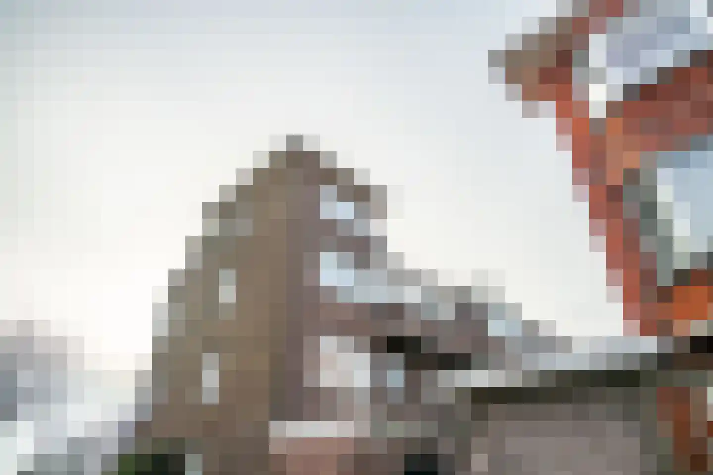 Soestdijksekade 862 Den Haag thumbnail 53