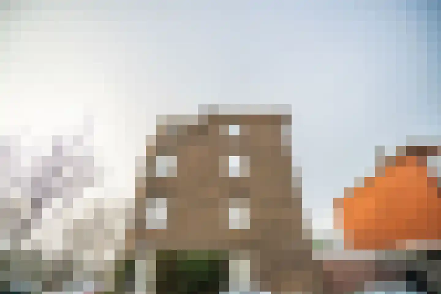 Soestdijksekade 862 Den Haag thumbnail 54