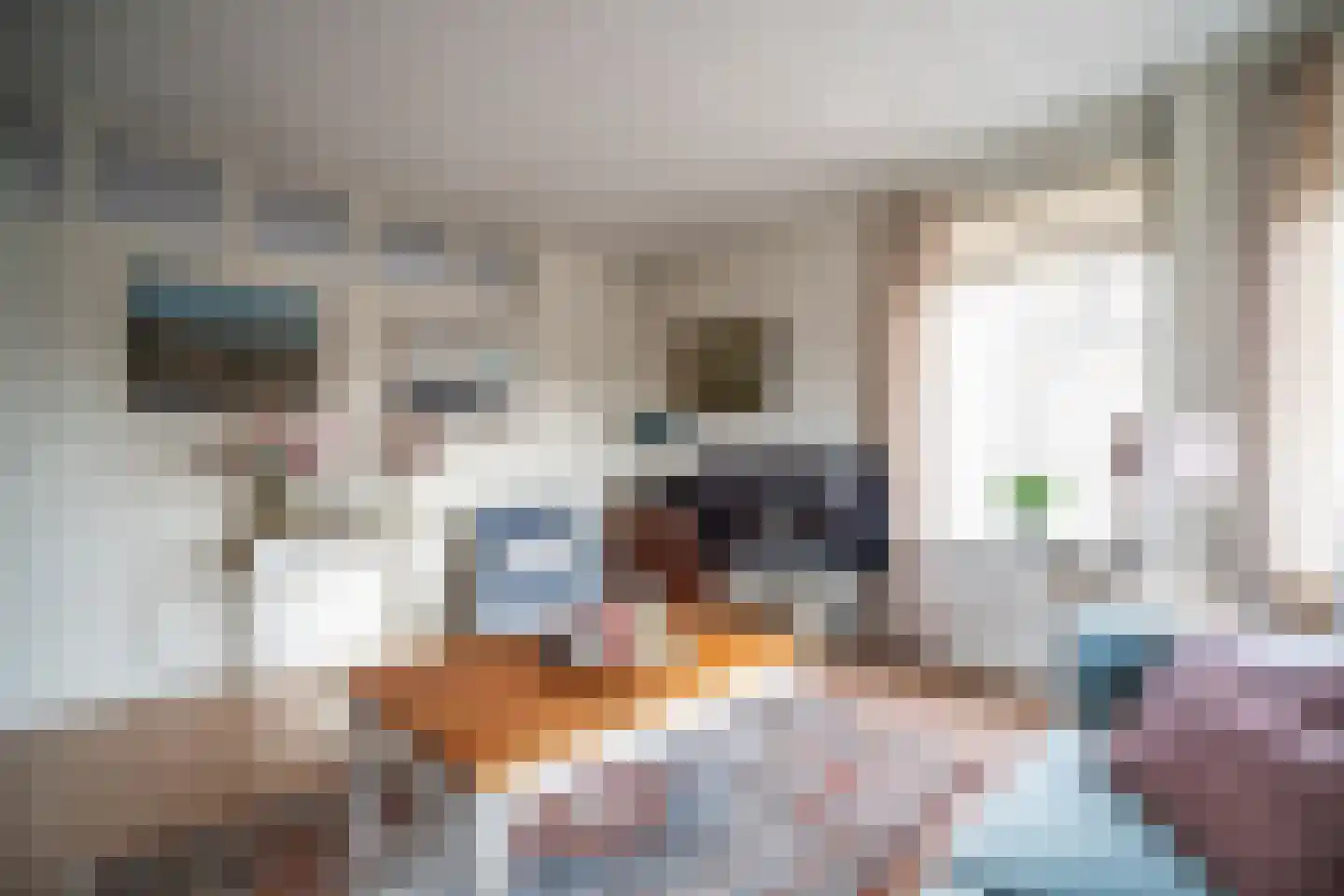 Soestdijksekade 862 Den Haag thumbnail 7