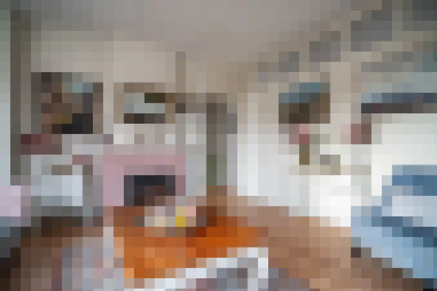 Soestdijksekade 862 Den Haag thumbnail 9