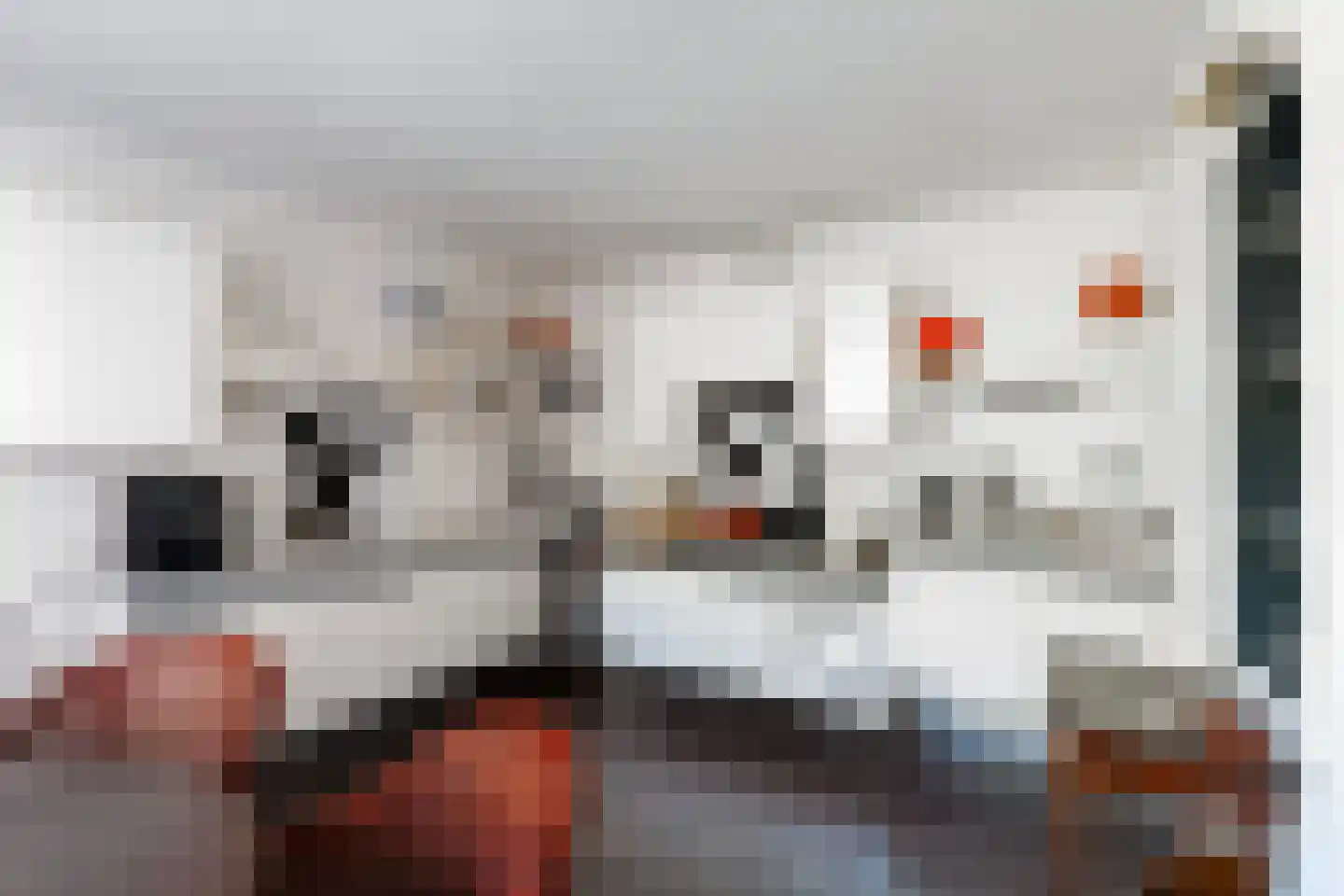 Soestdijksekade 866 Den Haag thumbnail 10