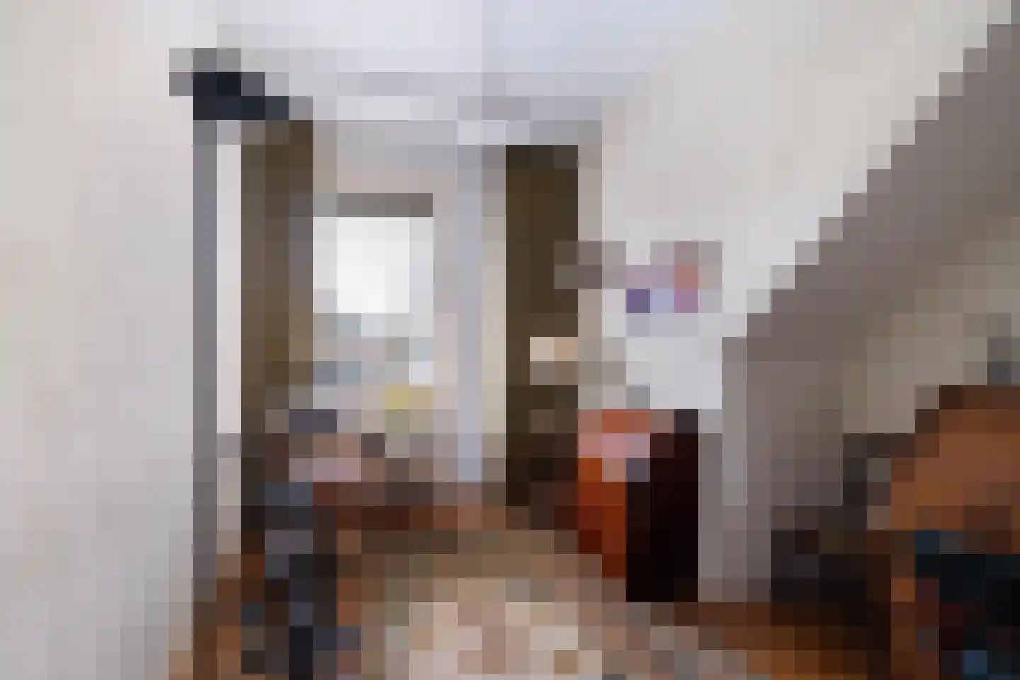 Soestdijksekade 866 Den Haag thumbnail 12