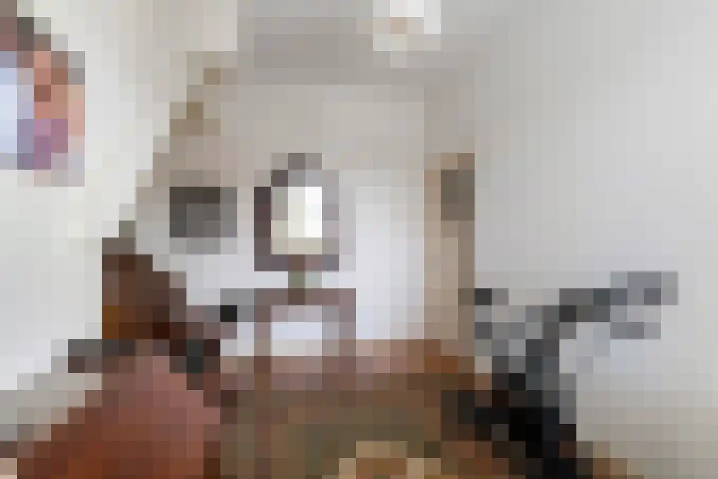 Soestdijksekade 866 Den Haag thumbnail 13