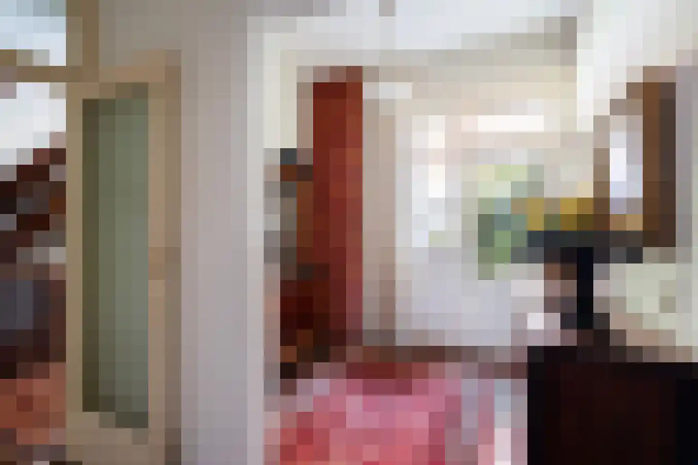Soestdijksekade 866 Den Haag thumbnail 14
