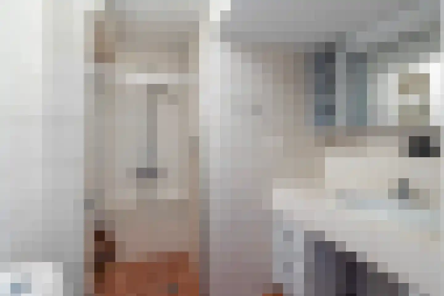 Soestdijksekade 866 Den Haag thumbnail 17
