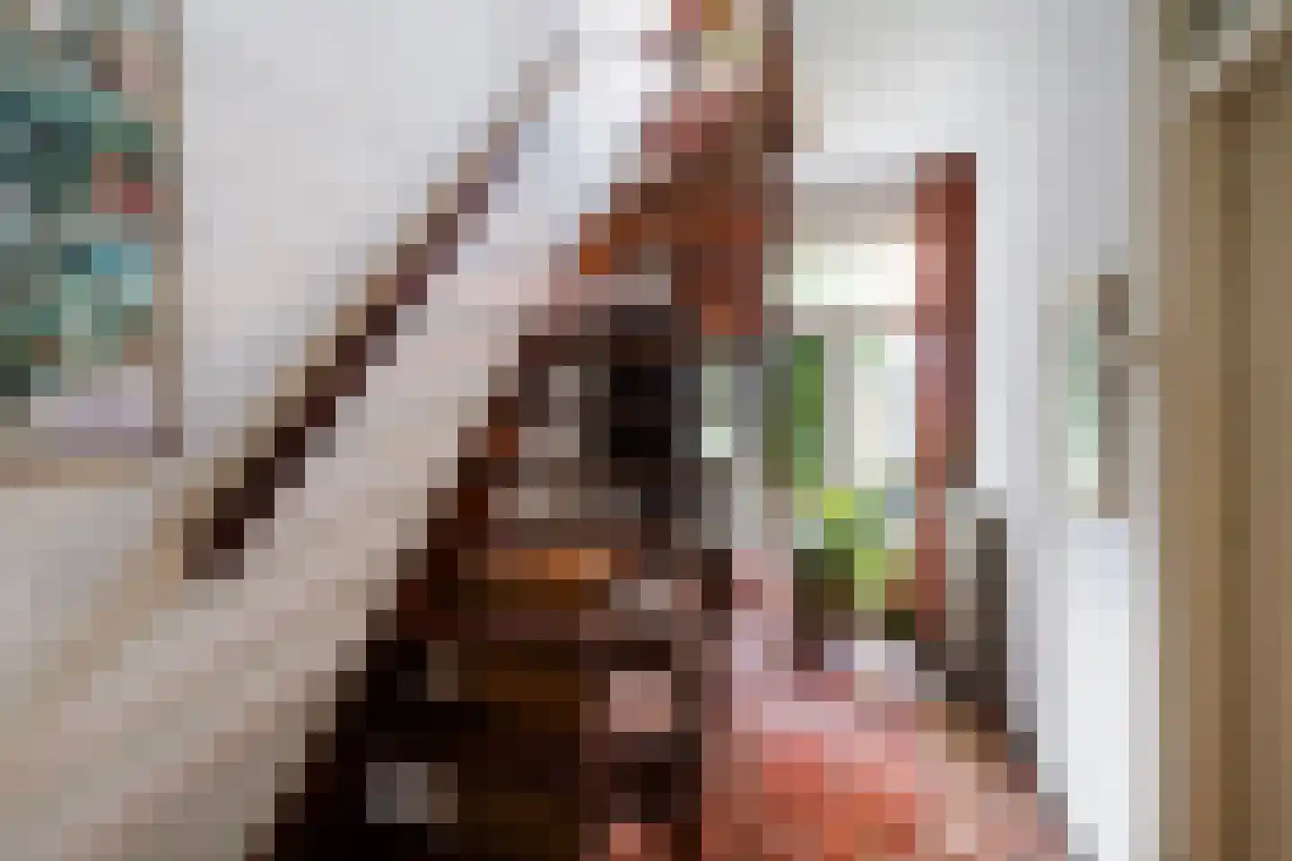 Soestdijksekade 866 Den Haag thumbnail 19