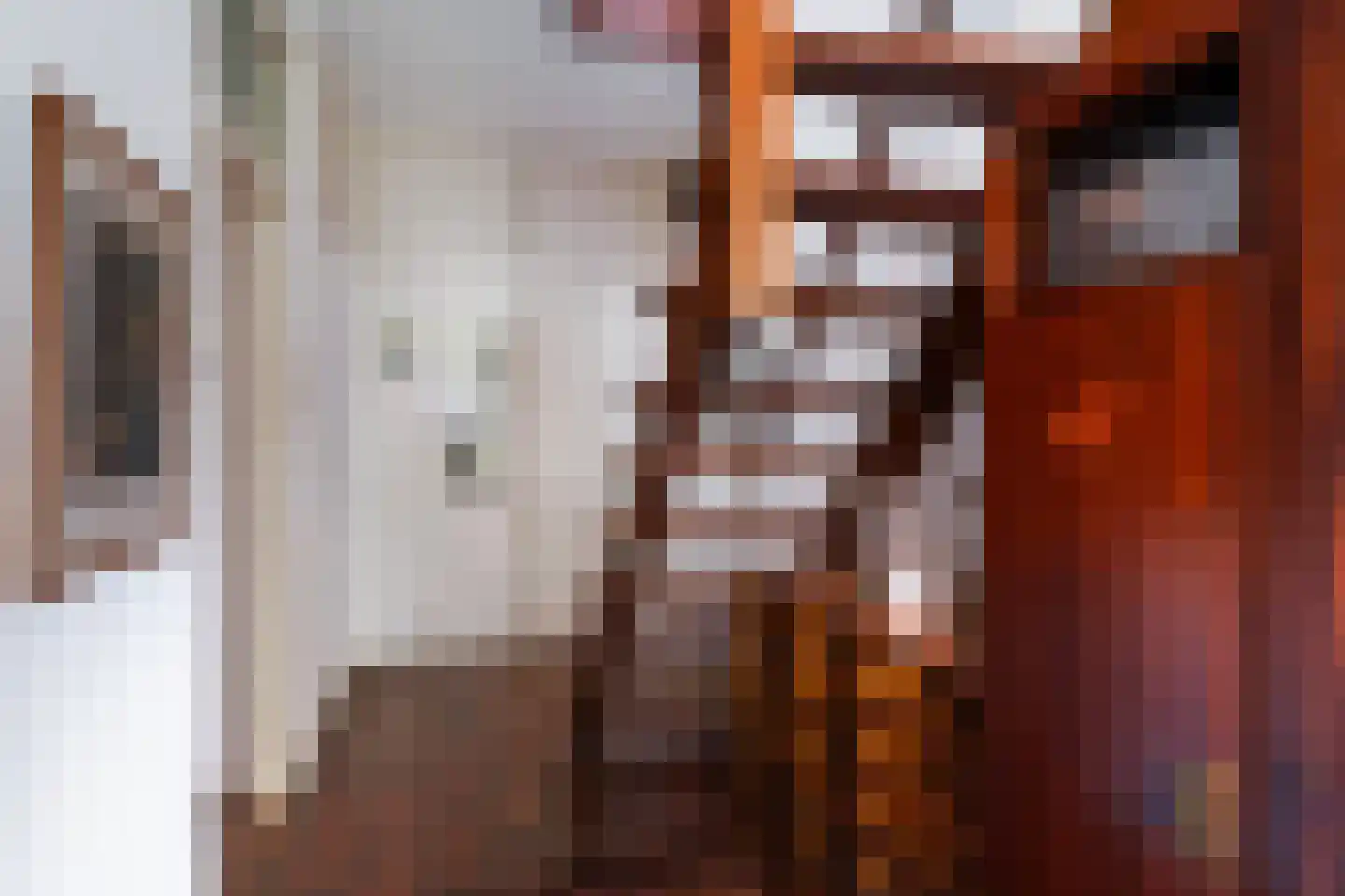 Soestdijksekade 866 Den Haag thumbnail 20