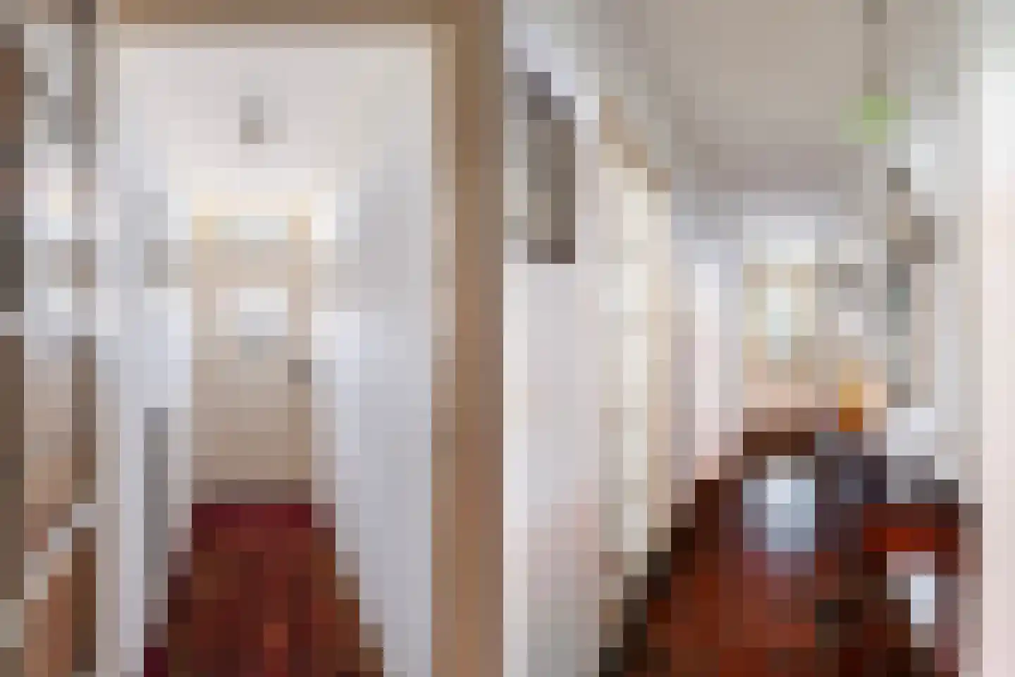 Soestdijksekade 866 Den Haag thumbnail 21