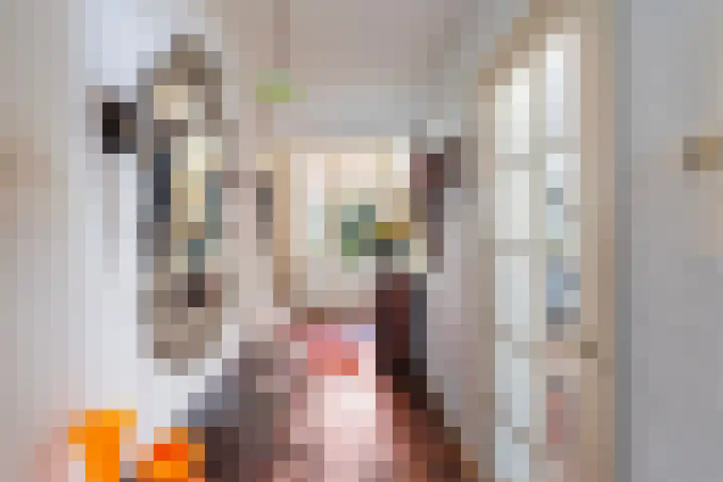 Soestdijksekade 866 Den Haag thumbnail 22