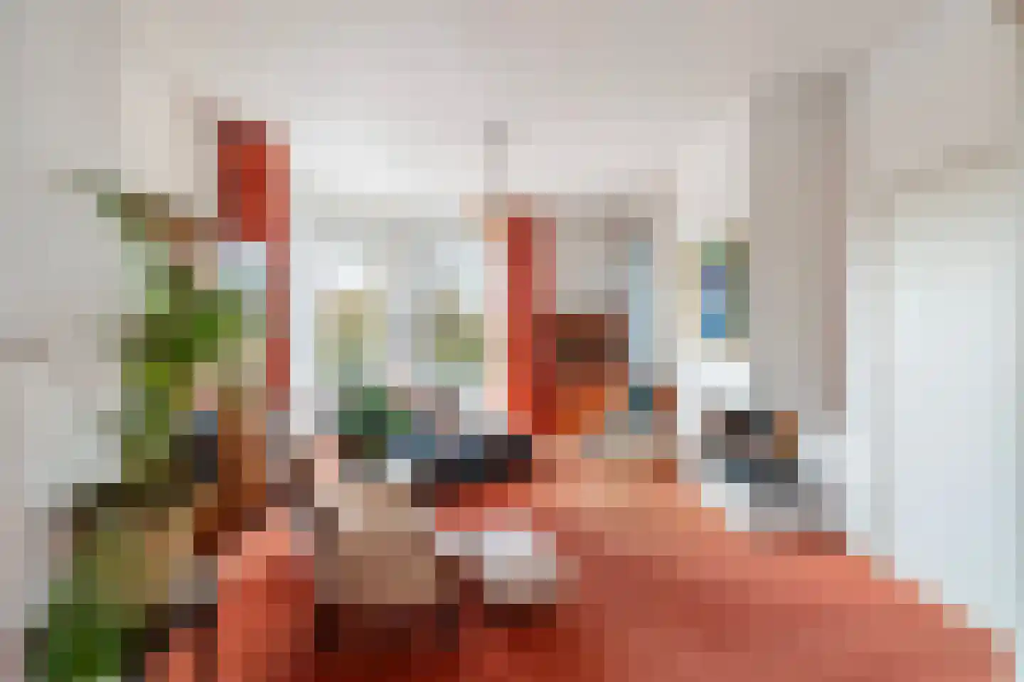 Soestdijksekade 866 Den Haag thumbnail 24