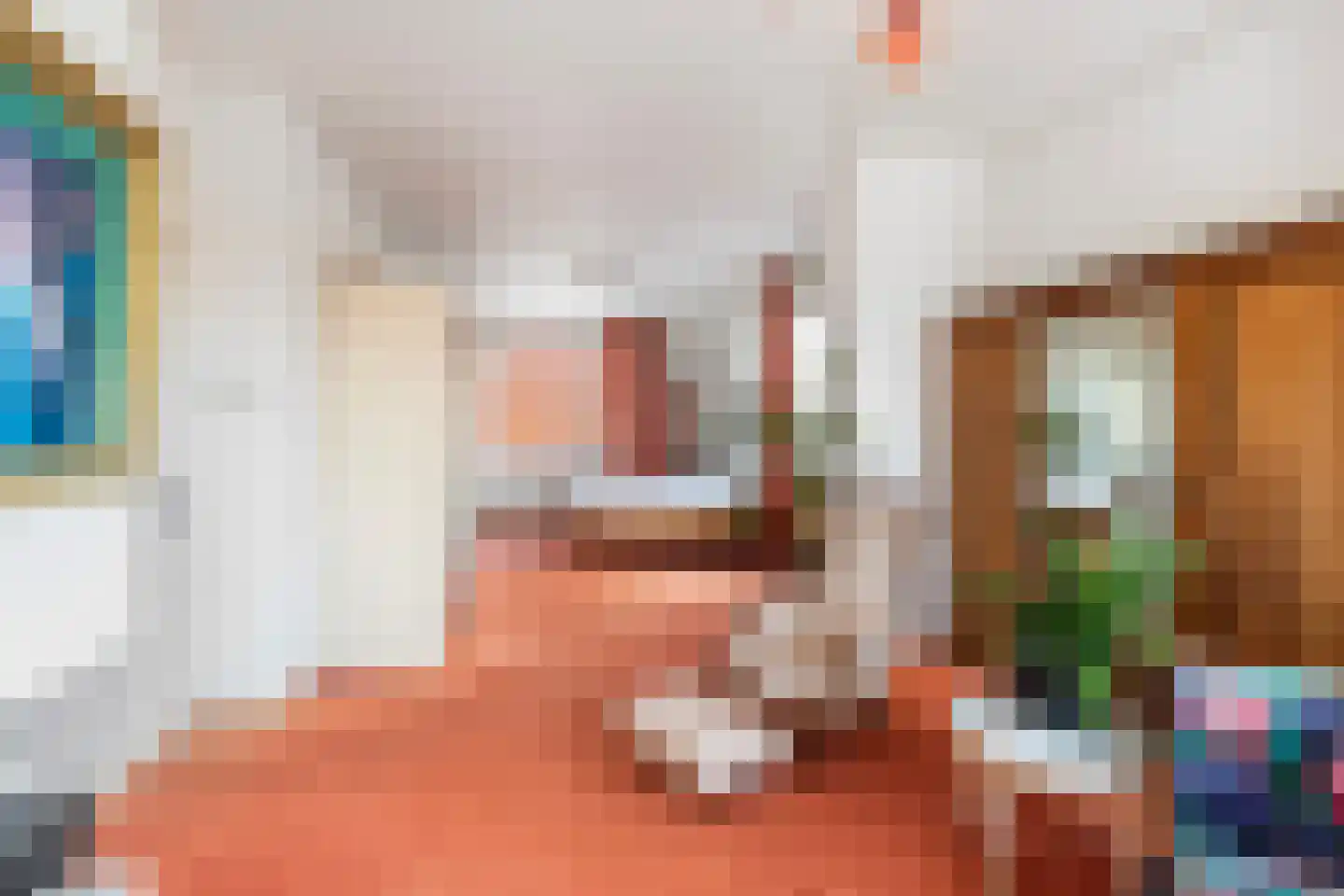 Soestdijksekade 866 Den Haag thumbnail 26