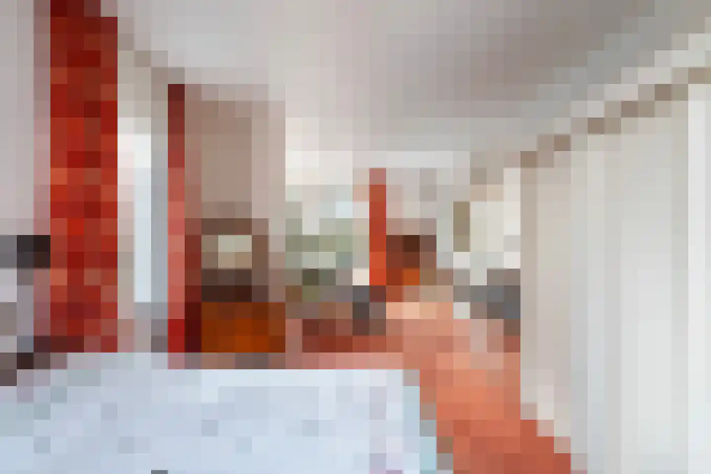 Soestdijksekade 866 Den Haag thumbnail 28