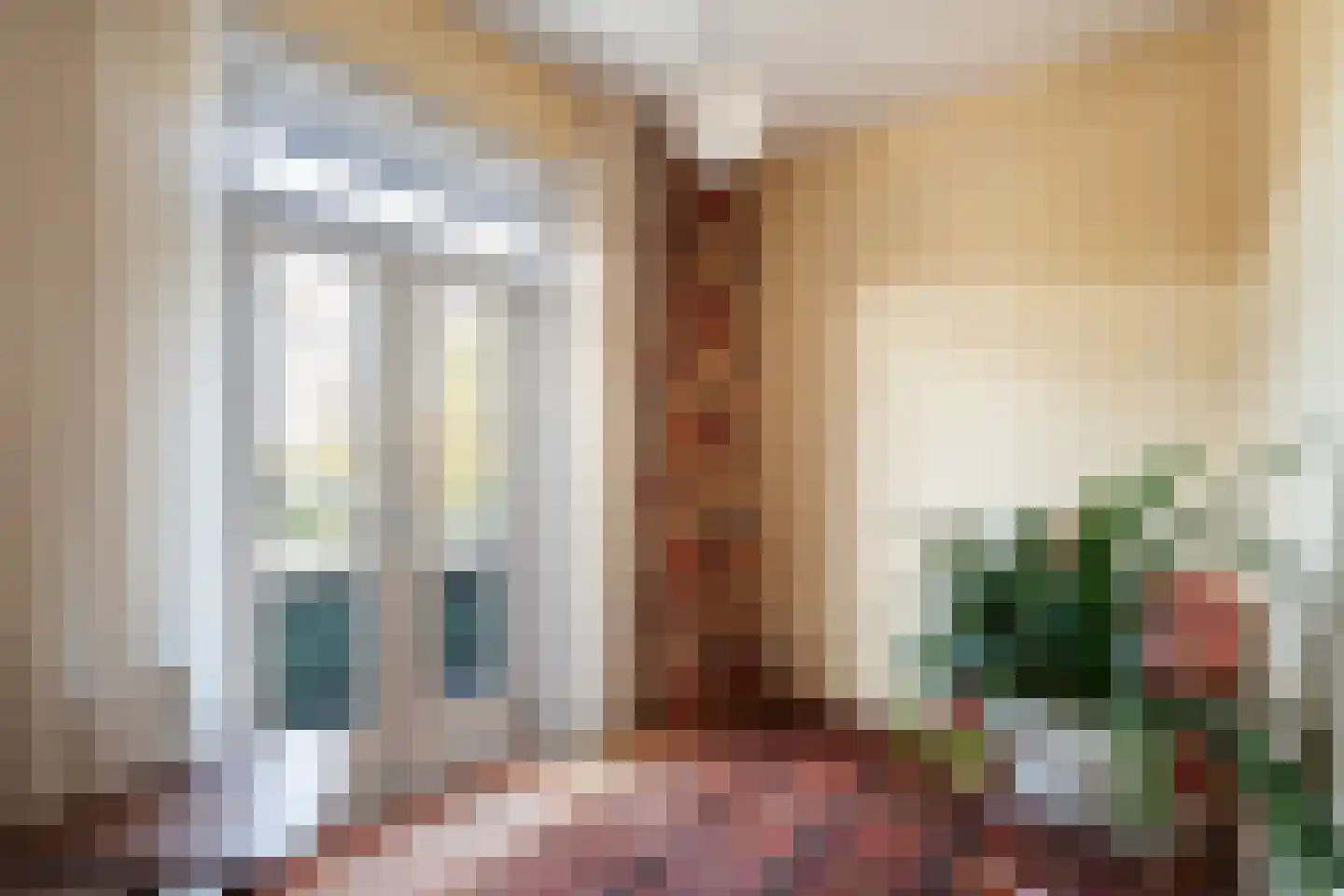 Soestdijksekade 866 Den Haag thumbnail 29
