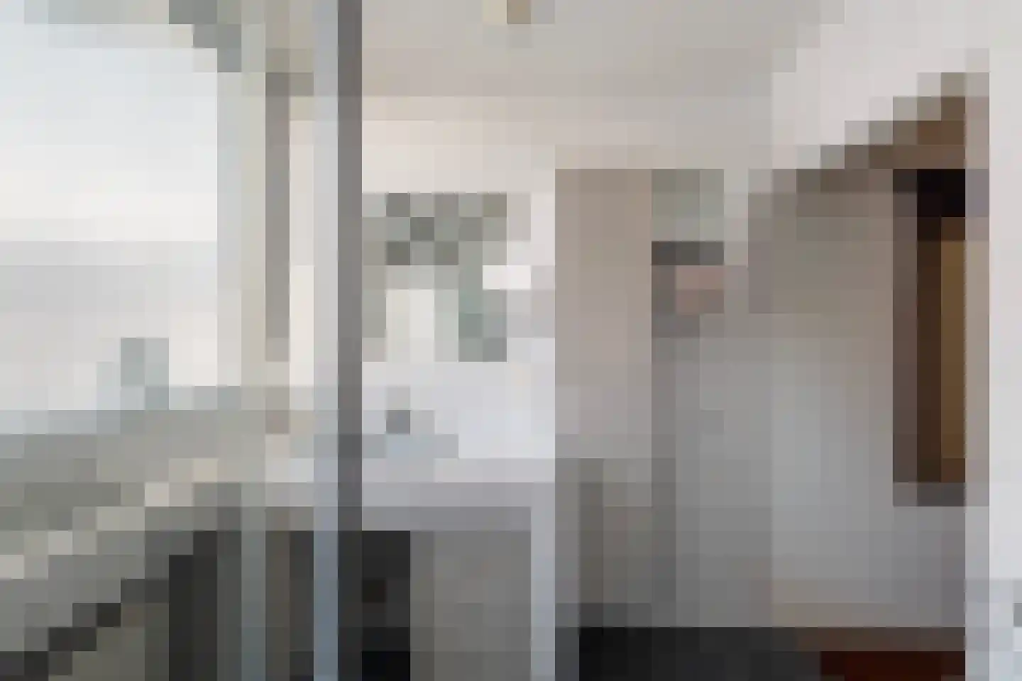 Soestdijksekade 866 Den Haag thumbnail 32