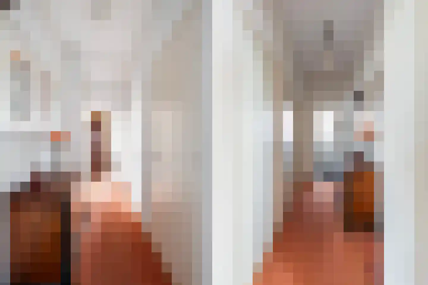 Soestdijksekade 866 Den Haag thumbnail 33