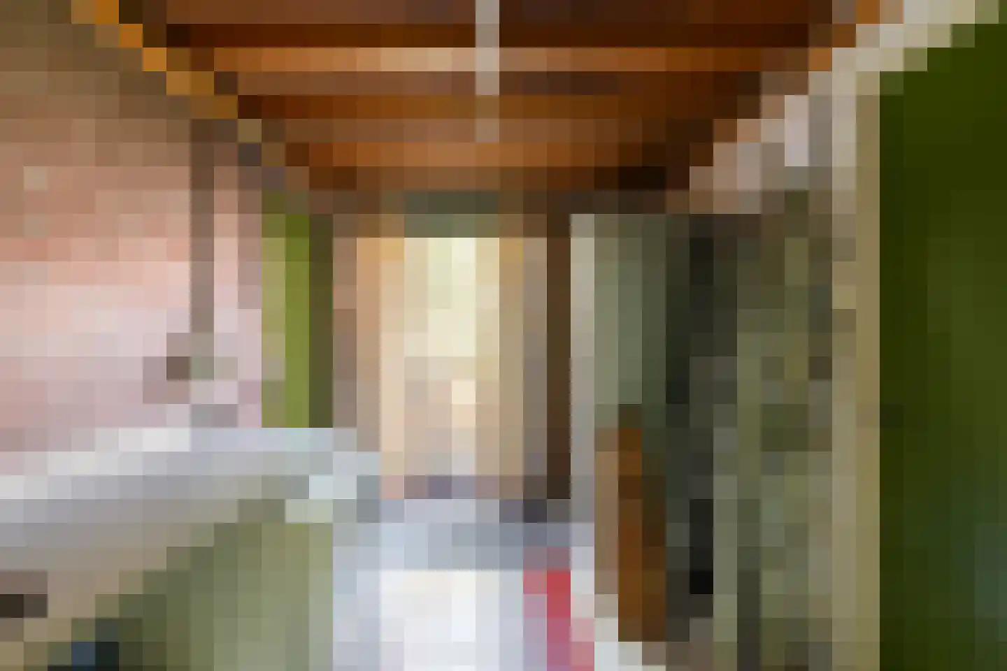 Soestdijksekade 866 Den Haag thumbnail 35
