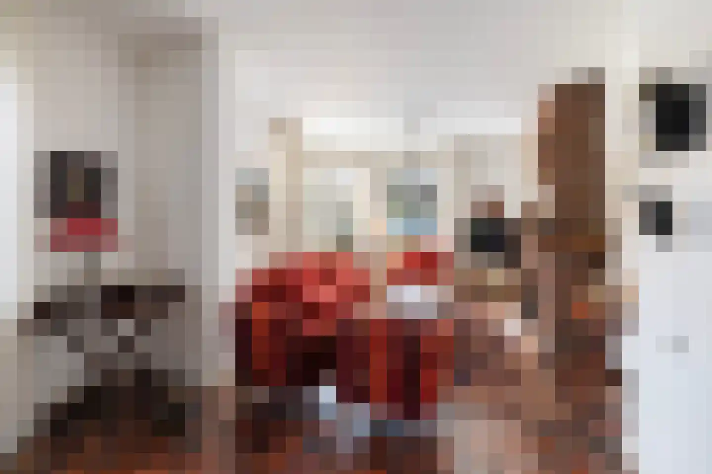 Soestdijksekade 866 Den Haag thumbnail 4