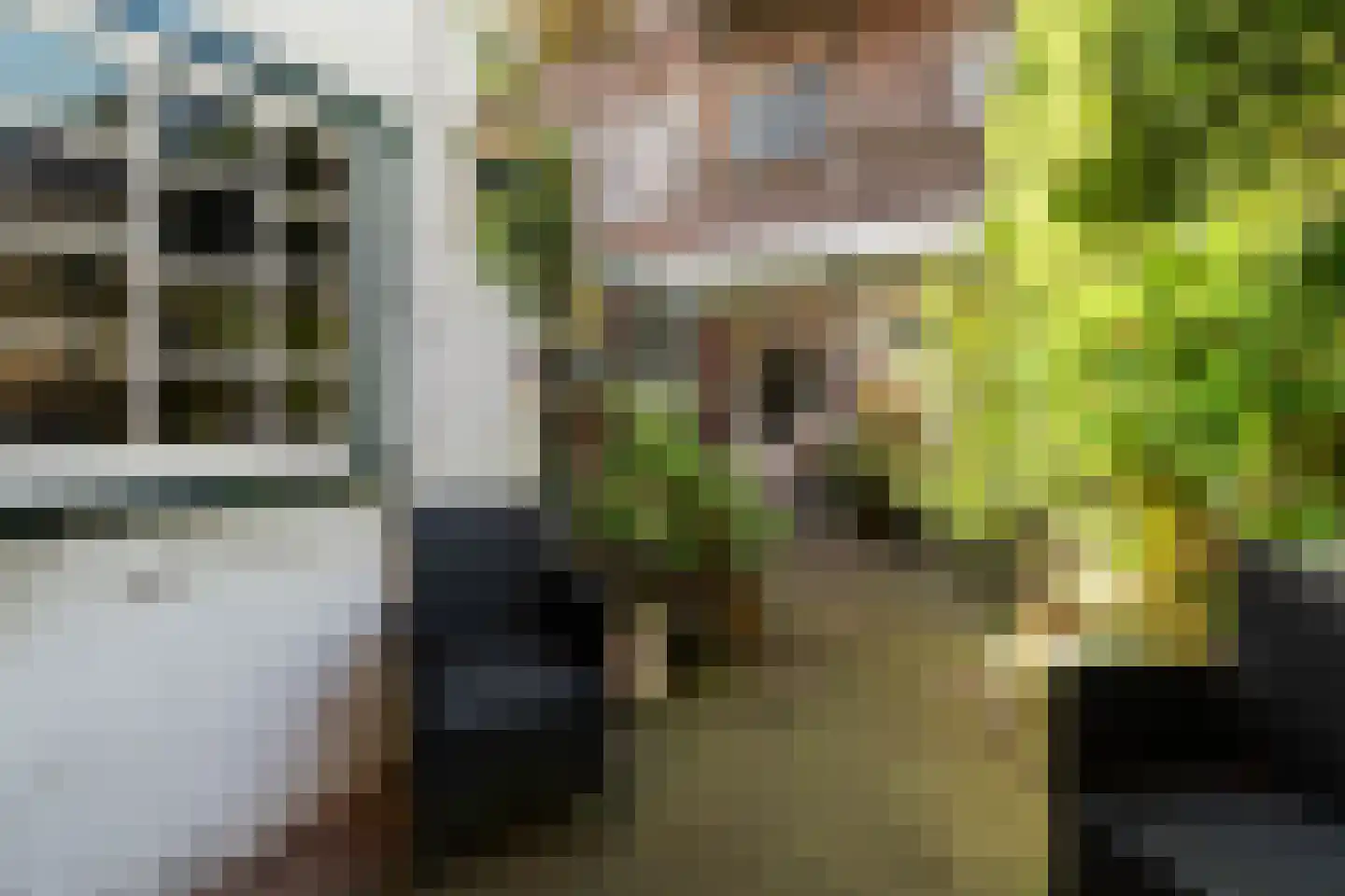 Soestdijksekade 866 Den Haag thumbnail 40