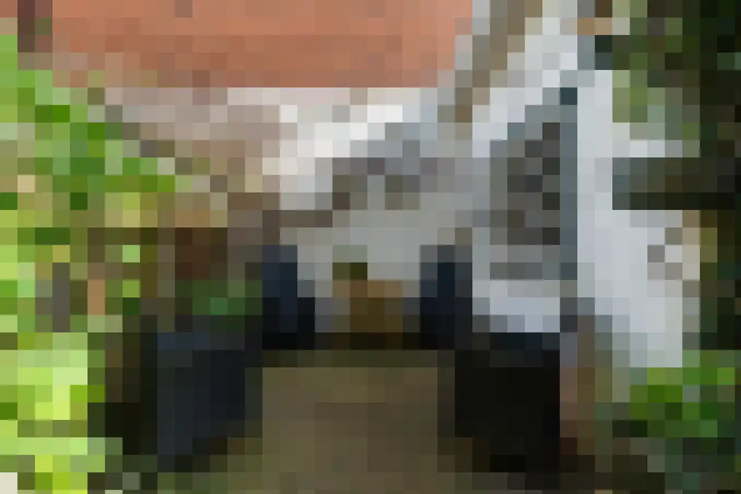 Soestdijksekade 866 Den Haag thumbnail 42