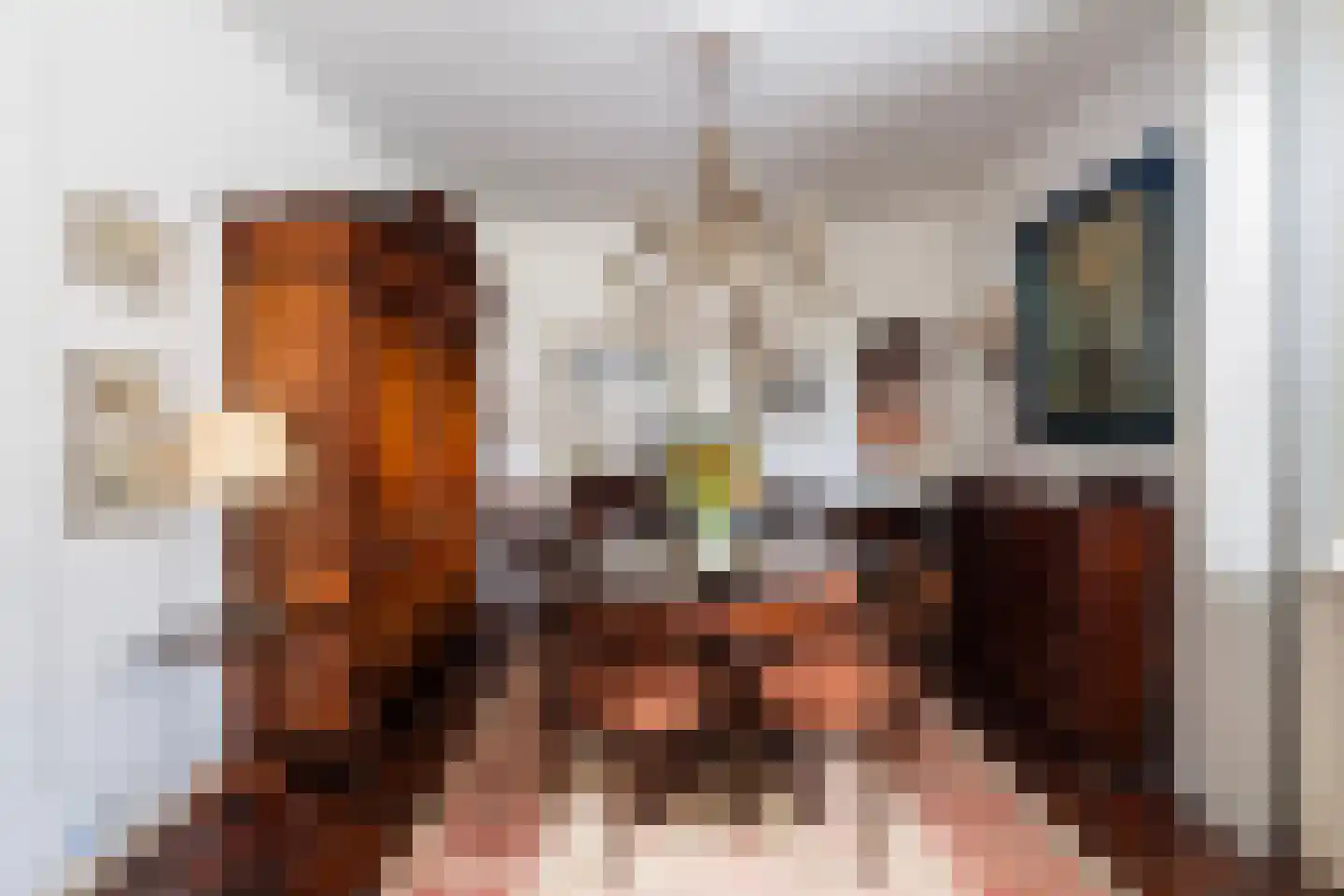Soestdijksekade 866 Den Haag thumbnail 5