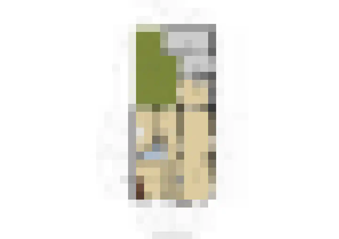 Soestdijksekade 866 Den Haag thumbnail 51