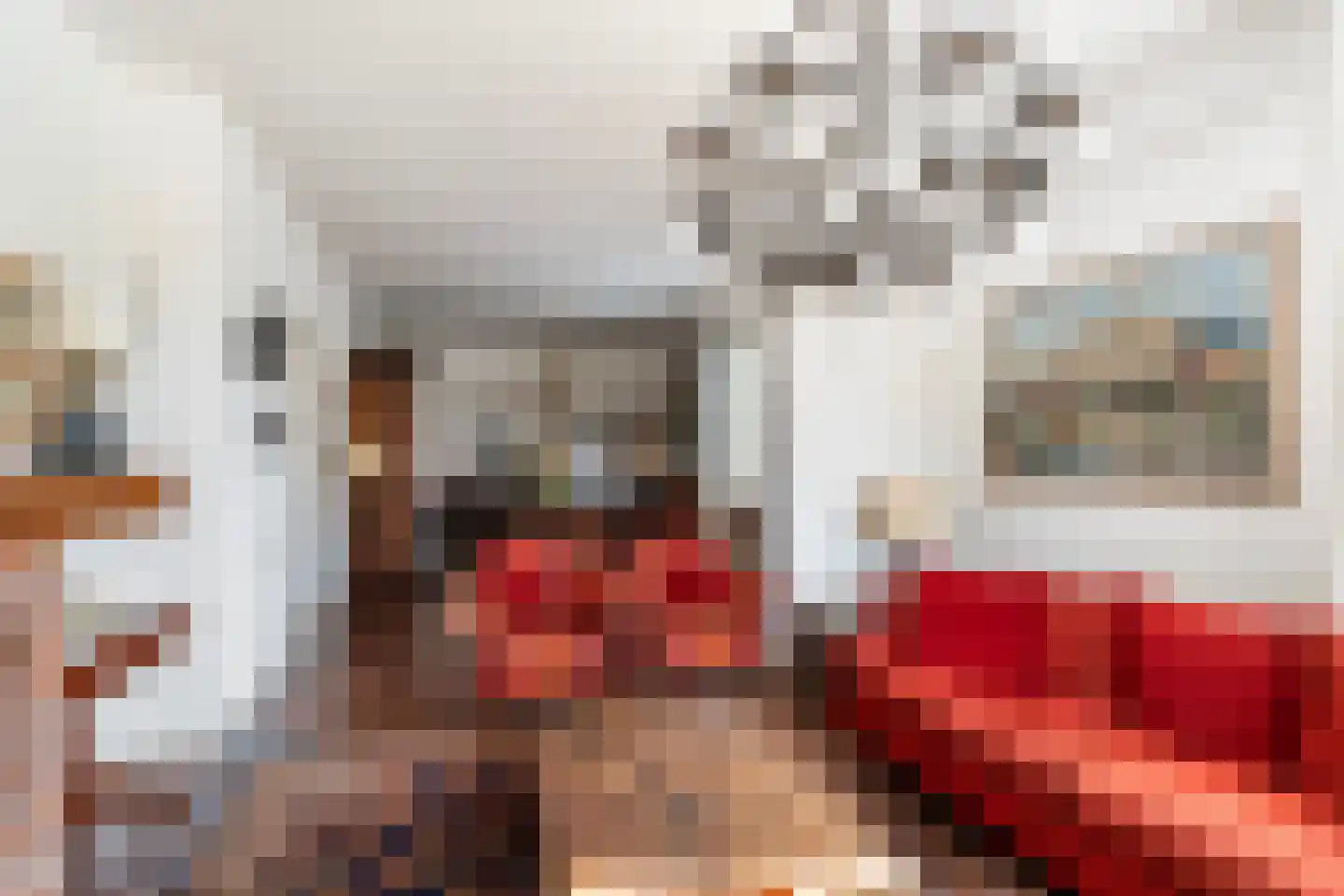 Soestdijksekade 866 Den Haag thumbnail 7