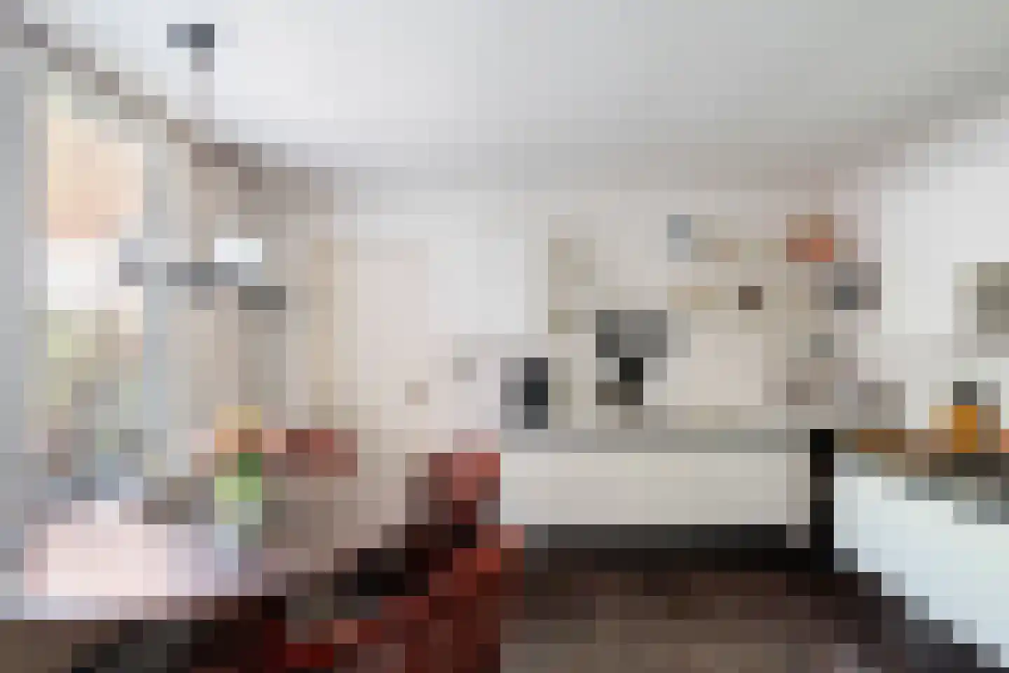 Soestdijksekade 866 Den Haag thumbnail 9
