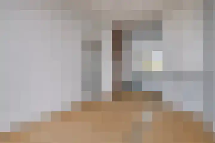 Soestdijksekade 886 Den Haag thumbnail 10