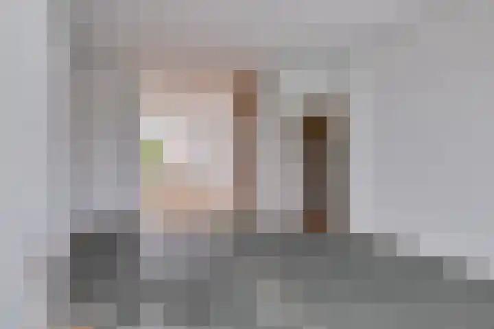 Soestdijksekade 886 Den Haag thumbnail 13
