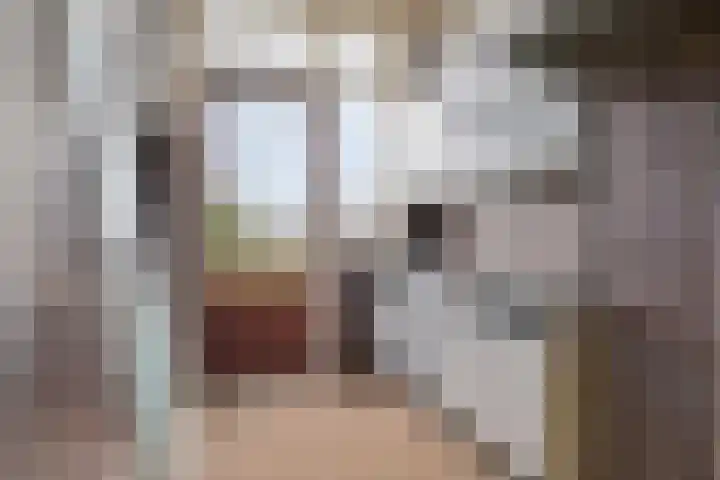 Soestdijksekade 886 Den Haag thumbnail 14