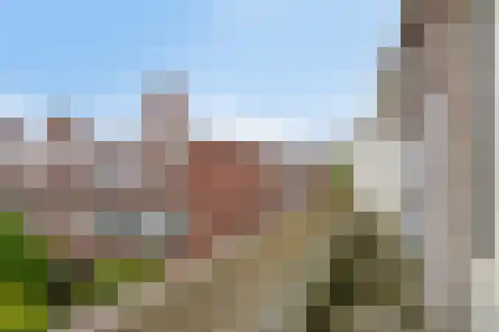 Soestdijksekade 886 Den Haag thumbnail 17