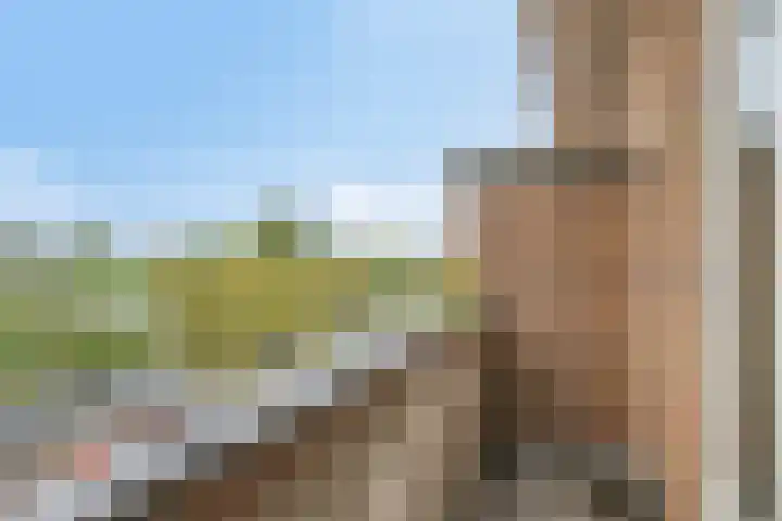 Soestdijksekade 886 Den Haag thumbnail 22