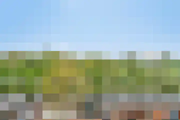 Soestdijksekade 886 Den Haag thumbnail 23