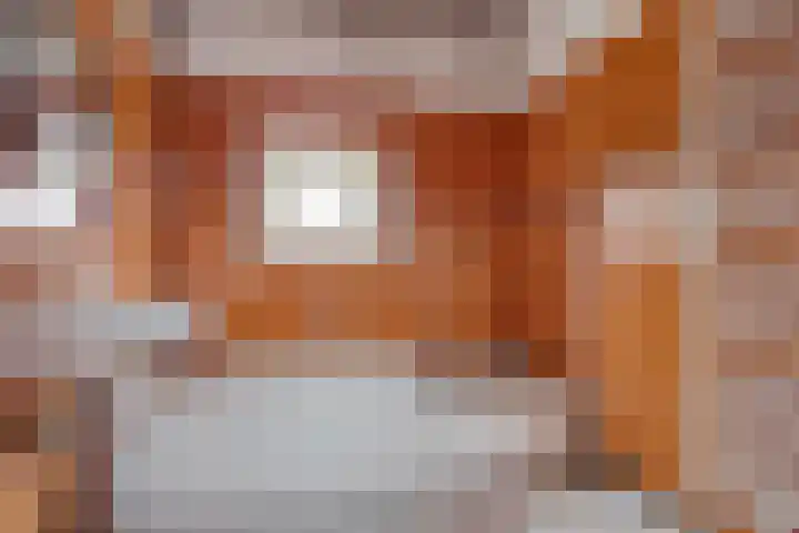 Soestdijksekade 886 Den Haag thumbnail 24