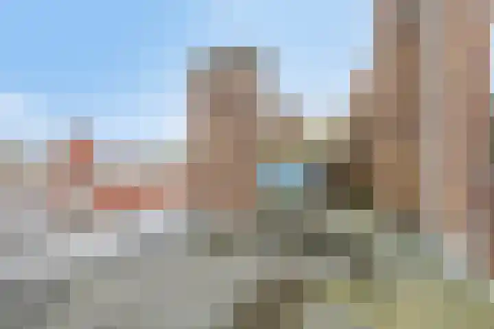 Soestdijksekade 886 Den Haag thumbnail 28