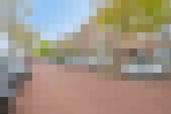 Soestdijksekade 886 Den Haag thumbnail 33