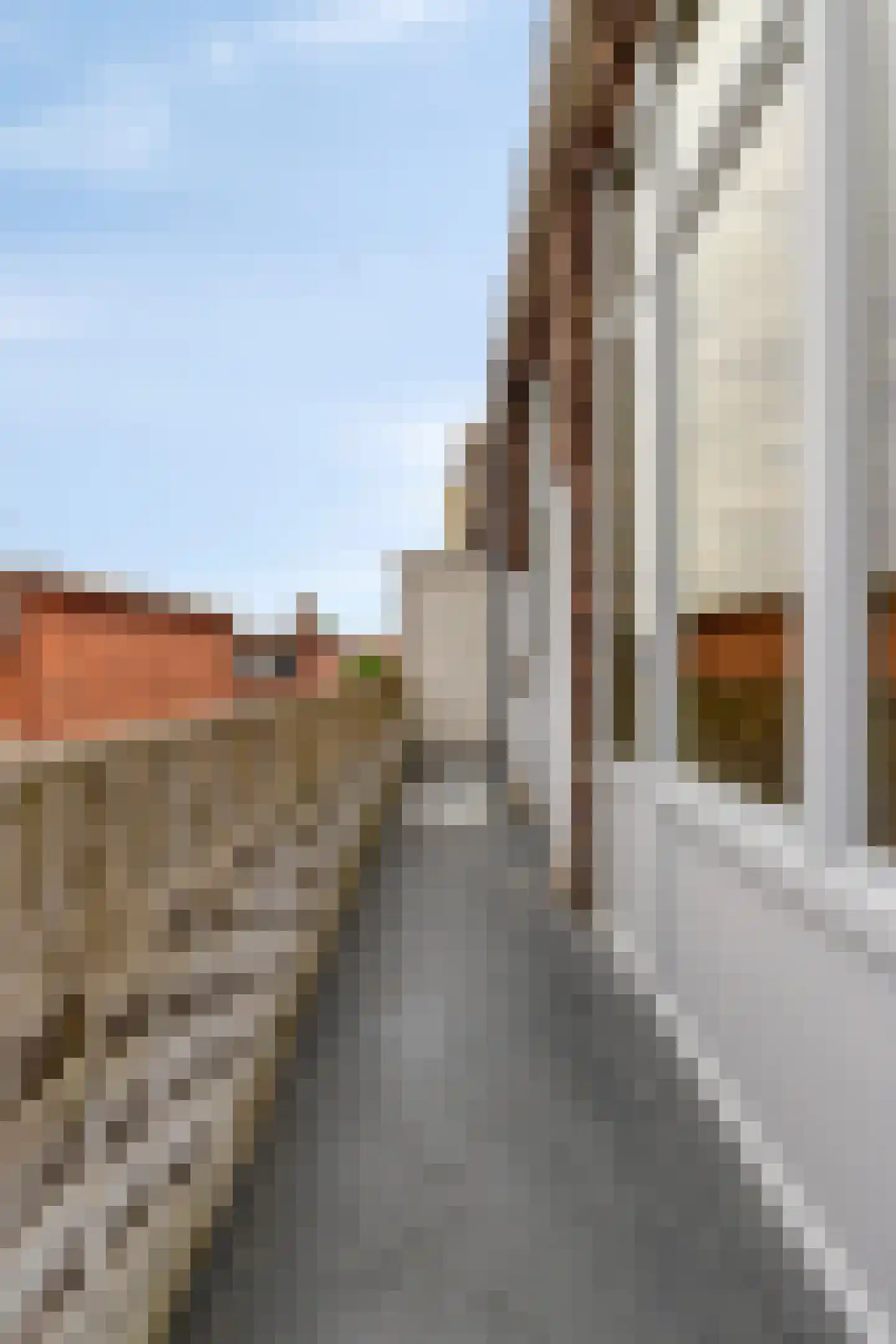 Soestdijksekade 886 Den Haag thumbnail 34