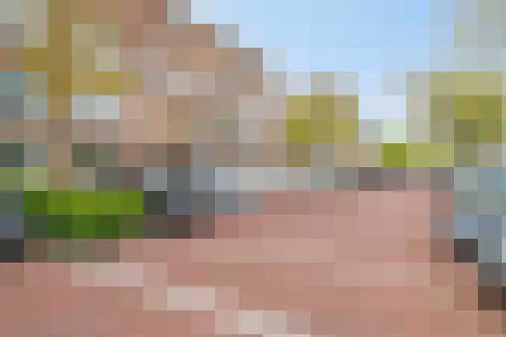 Soestdijksekade 886 Den Haag thumbnail 34
