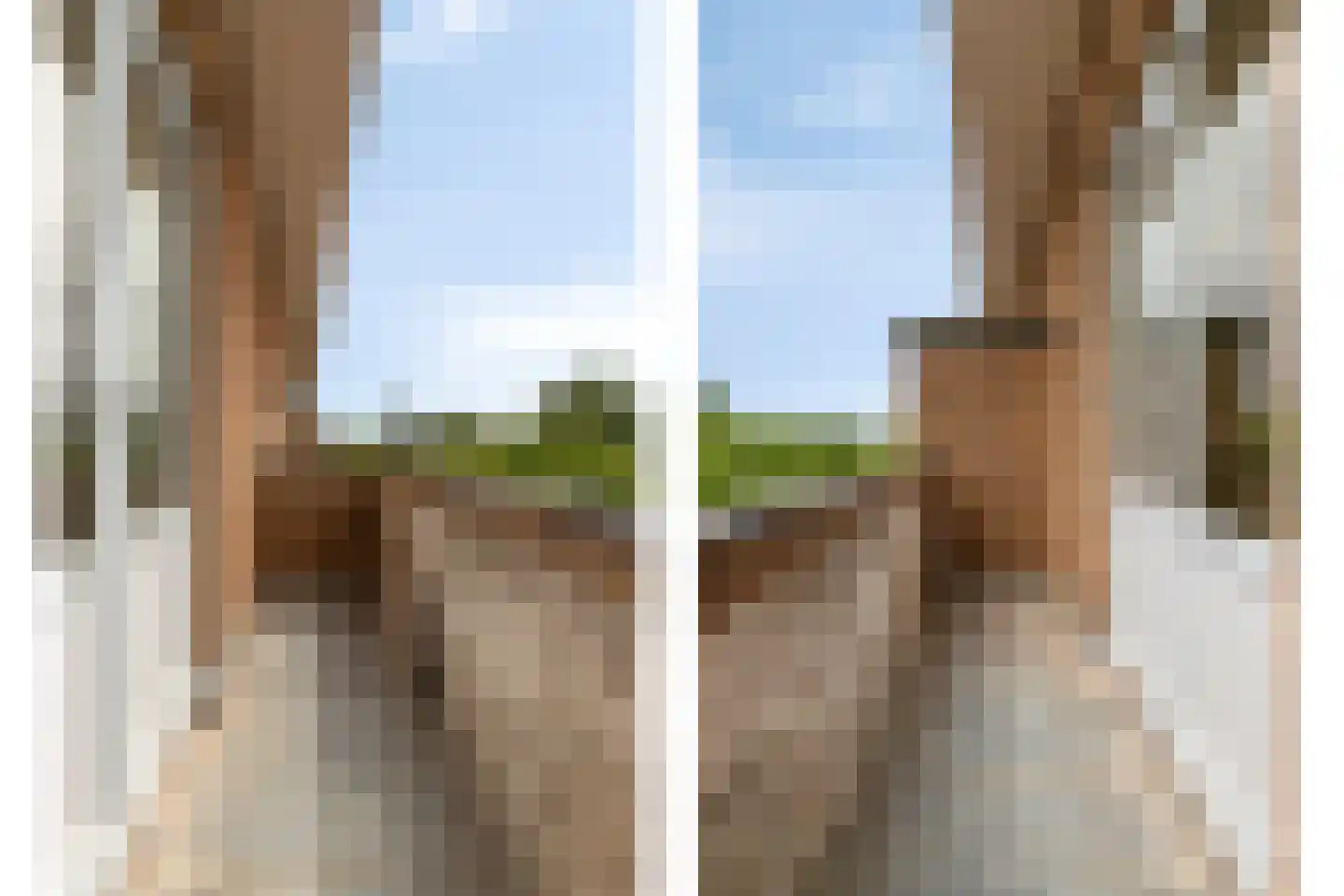 Soestdijksekade 886 Den Haag thumbnail 35
