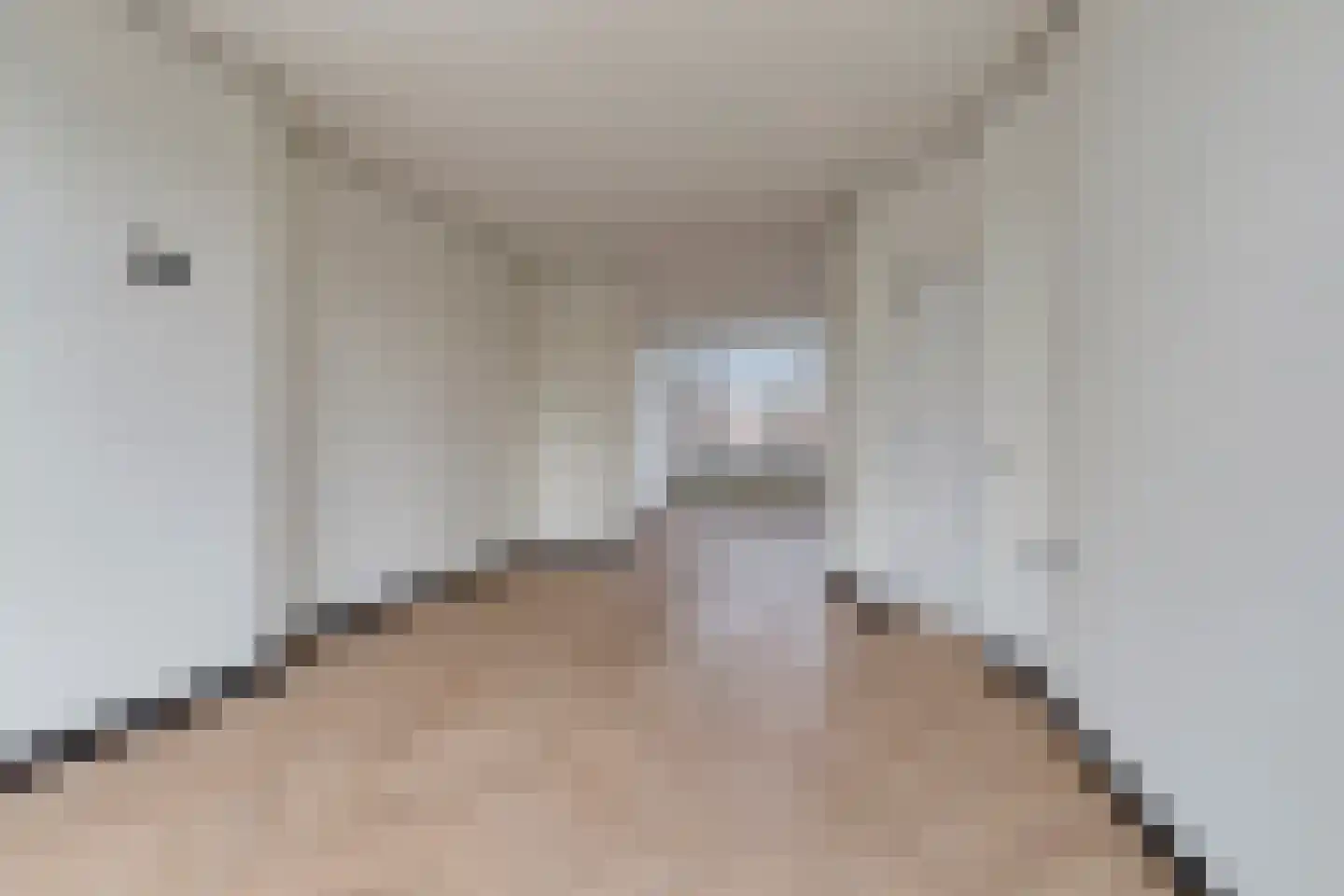 Soestdijksekade 886 Den Haag thumbnail 4