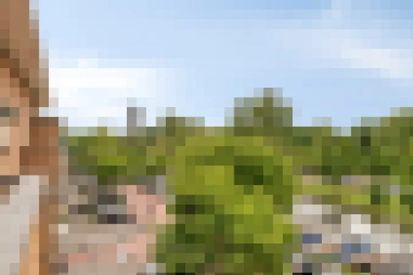 Soestdijksekade 886 Den Haag thumbnail 47
