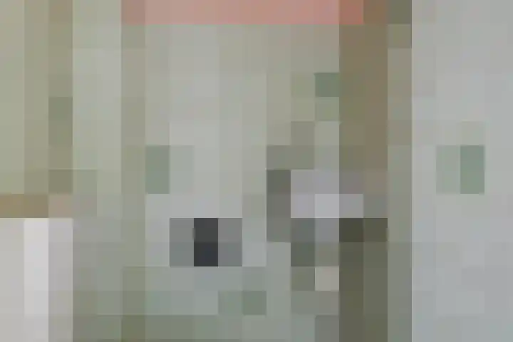 Soestdijksekade 886 Den Haag thumbnail 5