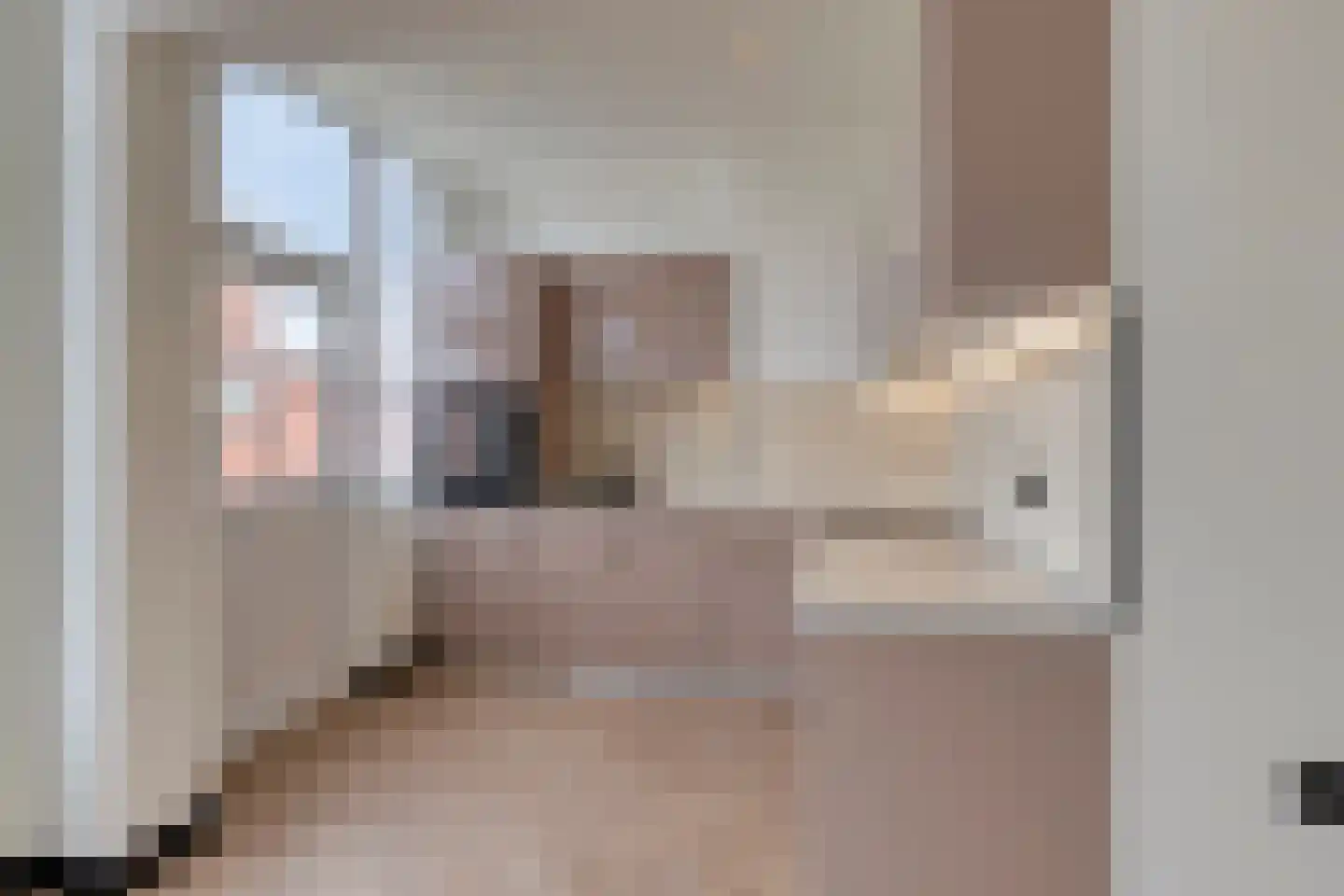 Soestdijksekade 886 Den Haag thumbnail 6