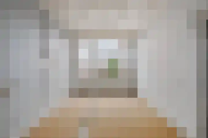 Soestdijksekade 886 Den Haag thumbnail 8