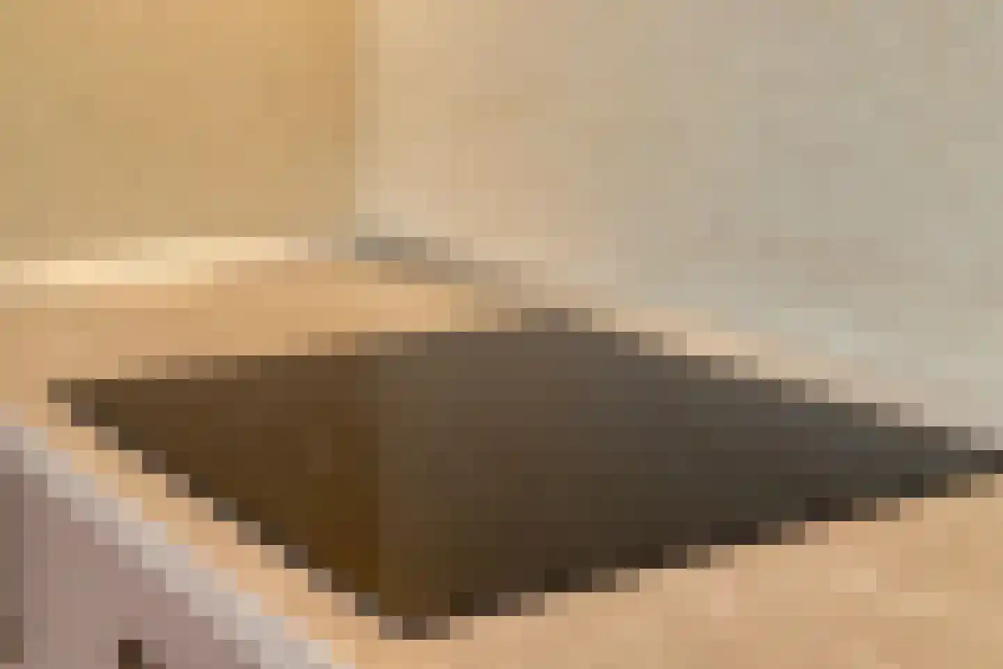 Soestdijksekade 886 Den Haag thumbnail 9