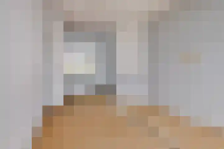 Soestdijksekade 886 Den Haag thumbnail 9